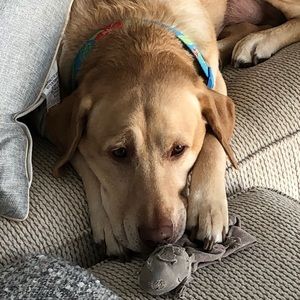 Meet your Posher, Mike